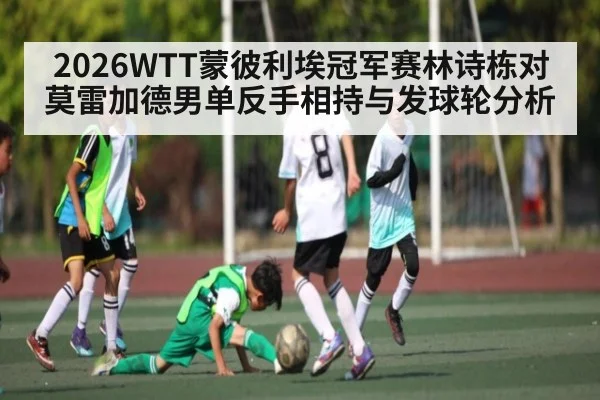 2026WTT蒙彼利埃冠军赛林诗栋对莫雷加德男单反手相持与发球轮分析